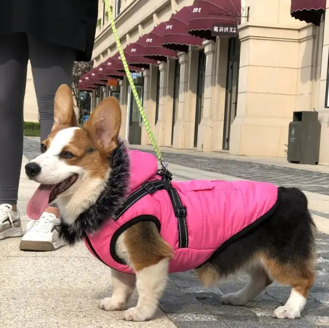 Cozy Fur-Collar Pet Winter Vest