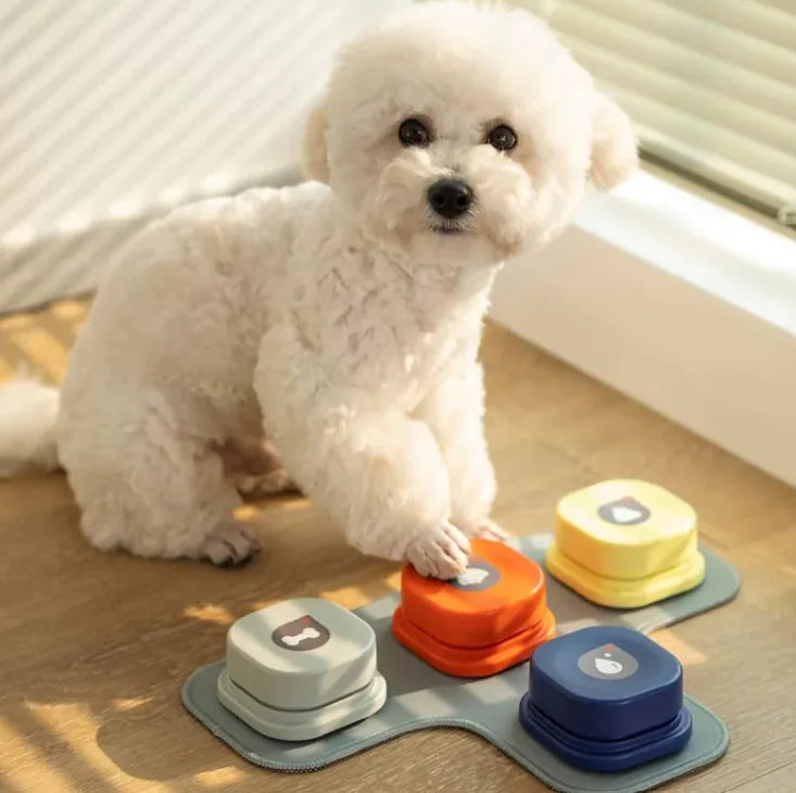 Pet Talk Toy