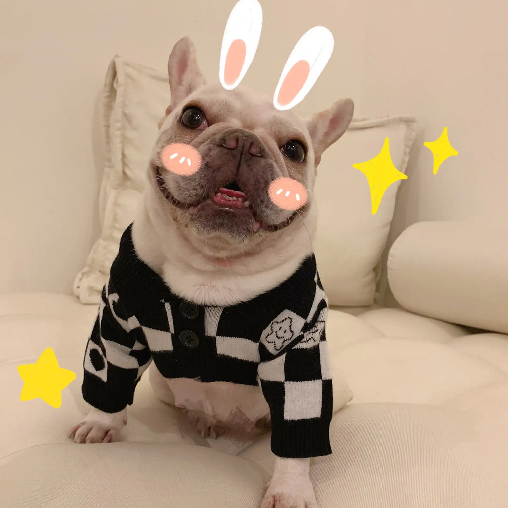 Pawsome Pet Winter Wool Sweater