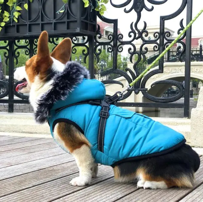 Cozy Fur-Collar Pet Winter Vest