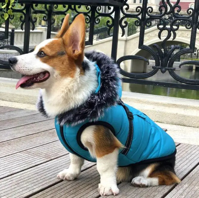 Cozy Fur-Collar Pet Winter Vest